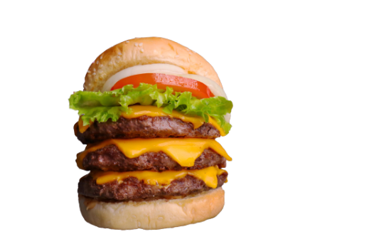 burger_img